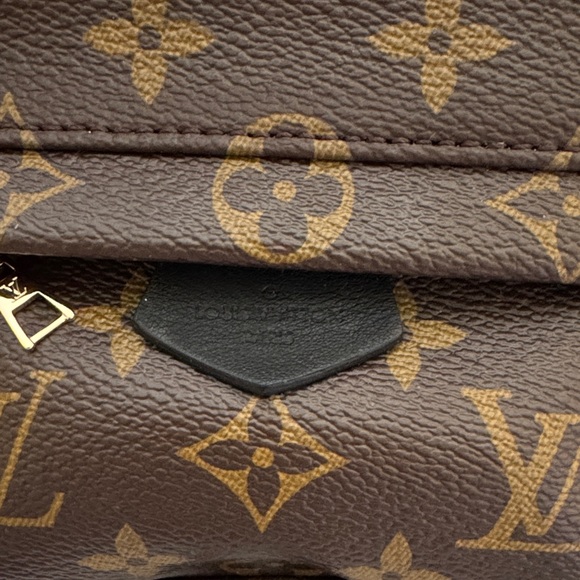 Louis Vuitton Palm Springs Mini Backpack - Picture 3 of 10